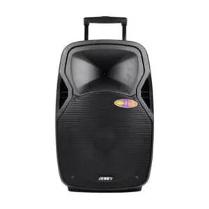 Haut Parleur Jerry D15