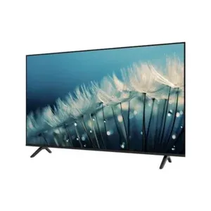 Téléviseur Enduro 55″ Smart Google TV